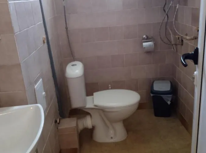 ганчеви סוזופול